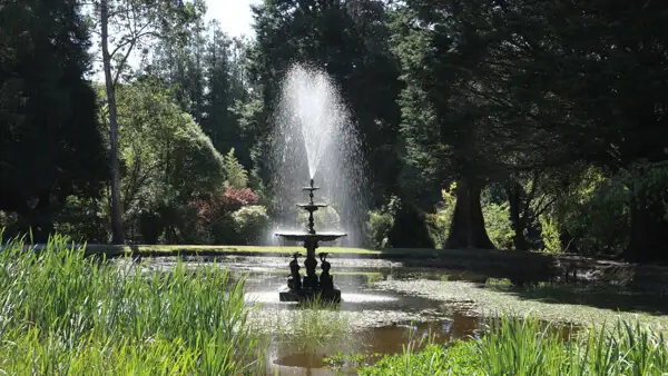 Dolphin Pond at Powerscourt Estate