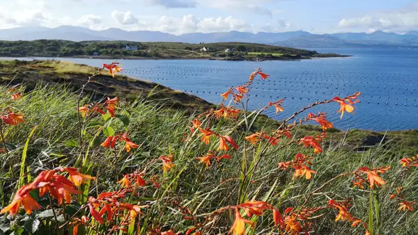 Southern coast of Beara Peninsula