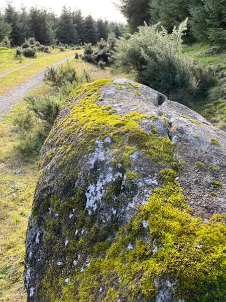 Way in the mountains