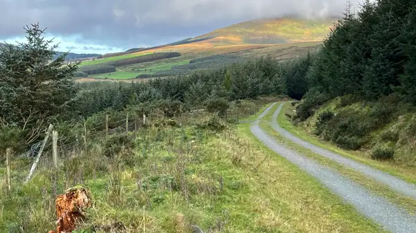 Way in Wicklow Mountains