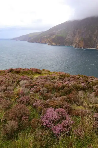 Heather at the Cliffs of Slieve League