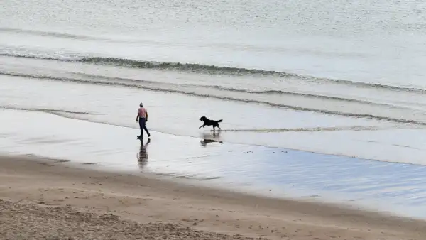 Man and dog at the beach