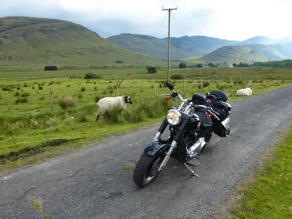 Motorbike and sheep on the road in the mountains of Mayo