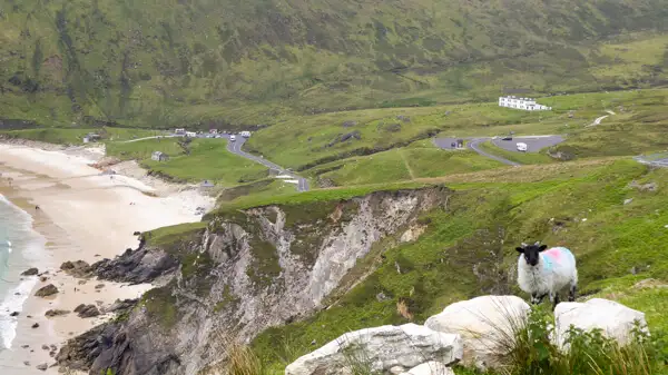 Sheep on a cliff over Keem Bay