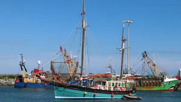 Ships in the harbour of Kilmore Quay