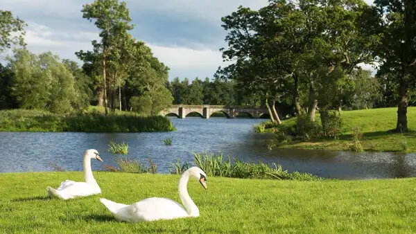 Photo: luttrellstowncastle.com