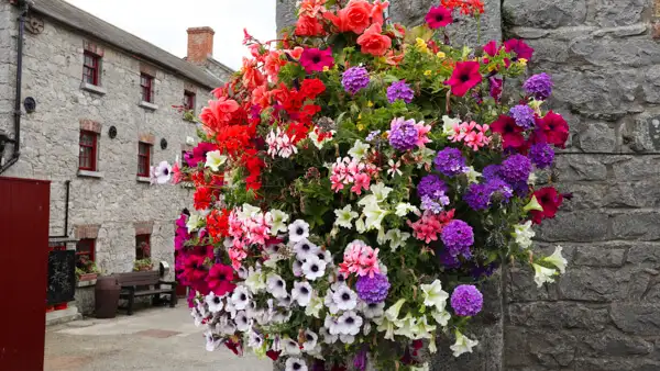 Gate to Skerries Mills yard