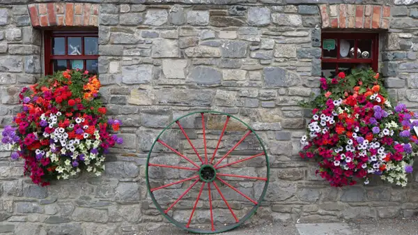 Inside Skerries Mills