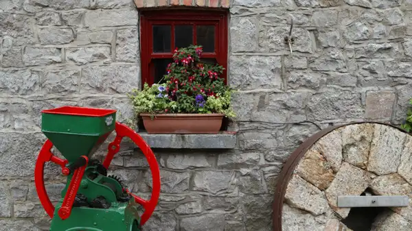 Inside Skerries Mills