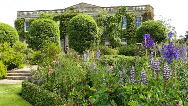 Gardens at Mount Stewart