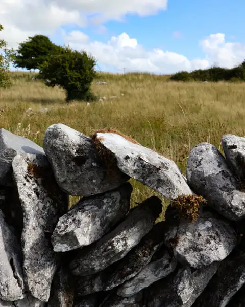 Stone wall as meadow fence on the Burren