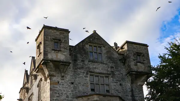 Craws over Donegal Castle