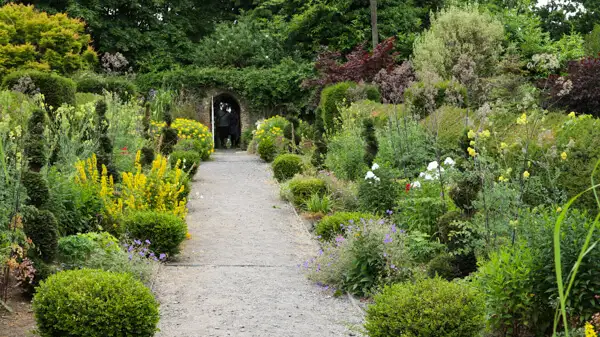 Garden at Belvedere House