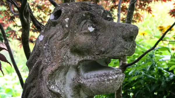 Lion sculpture at Belvedere House