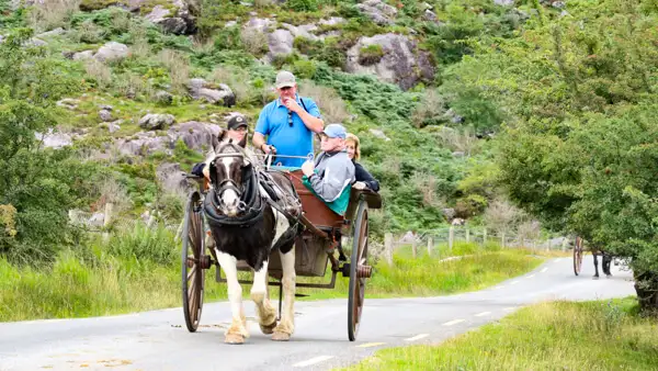 Horse drawn cart at Gap of Dunloe