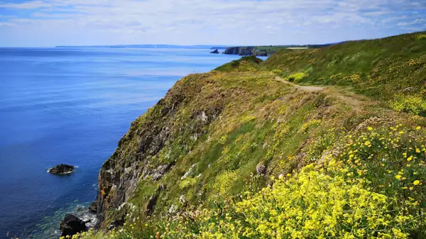 Cliffs at the Copper Coast