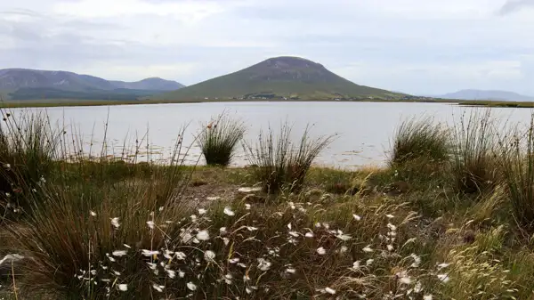 View from Clew Bay to Croagh Patrick