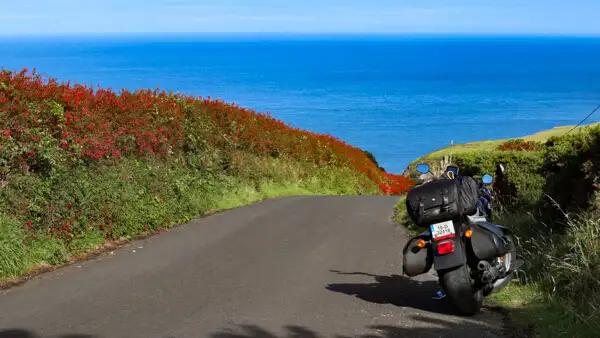 Small road at the Antrim Coast