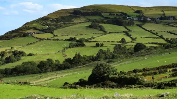 In the Glens of Antrim