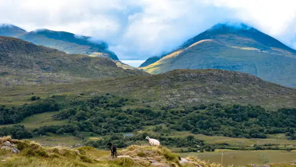 Mountains near Killarney