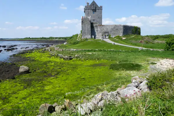 Dunguaire Castle