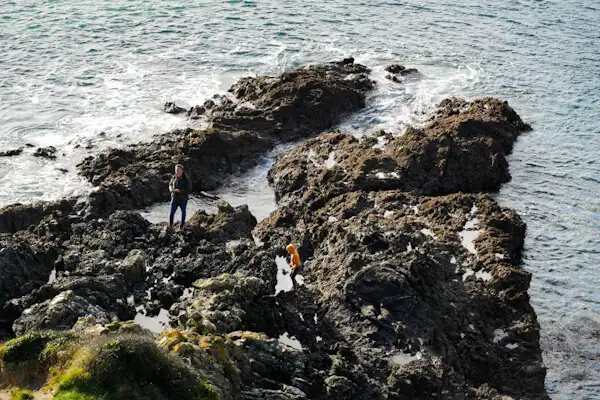 Two on the cliffs (Cornwall)