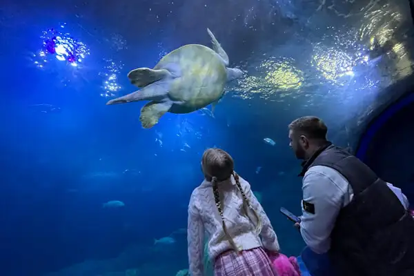 Amazement at Plymouth Aquarium