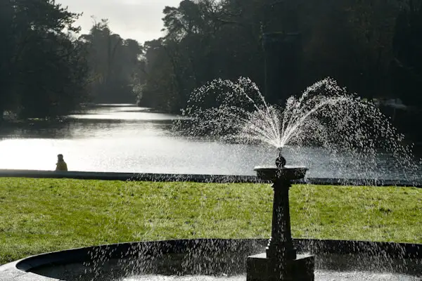 View from Johnstown Castle to the lake