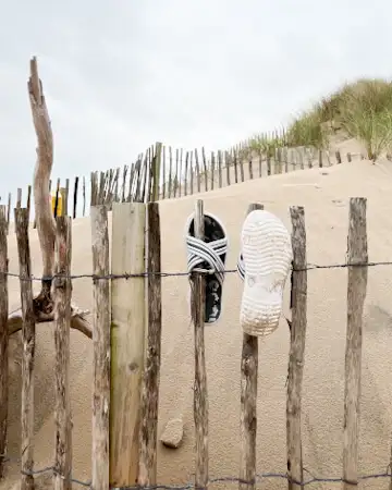 Still life at the beach