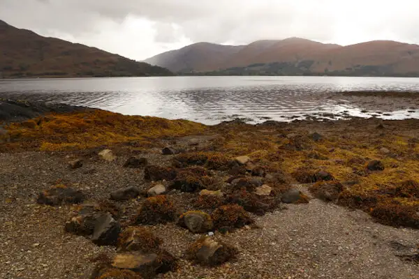 One of many Lochs in the Highlands