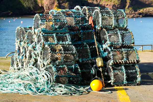 At Dunmore East harbour