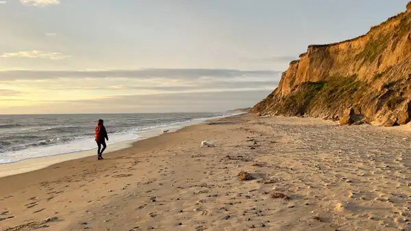 Evening walk at the beach