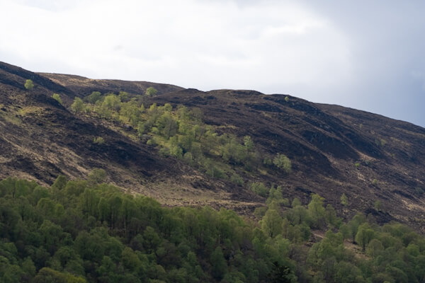 Mountains at the Caledonian Canal