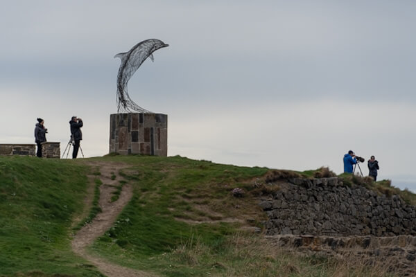 Dolphin statue and birdwatchers at Portsoy