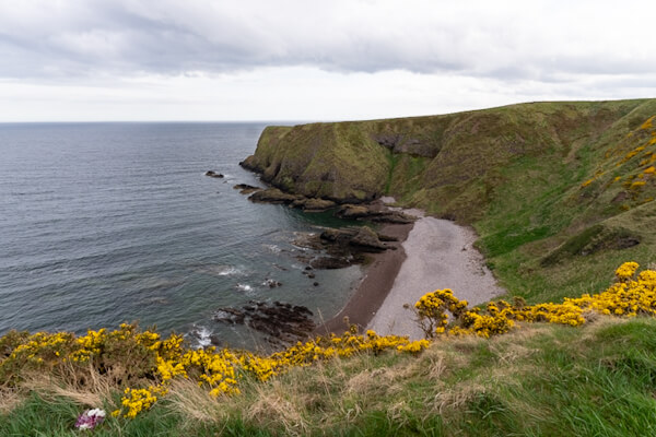 Beach near Dunnottar Castle