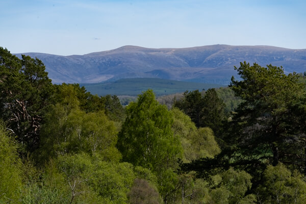 Eastern Highlands views at Highland Folk Museum