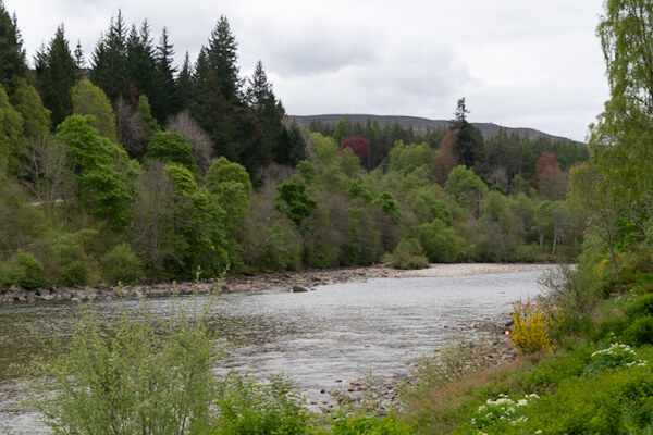At River Dee