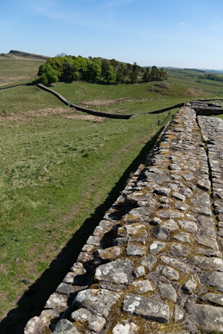 Hadrians Wall stretches over rolling hills (Homestead)
