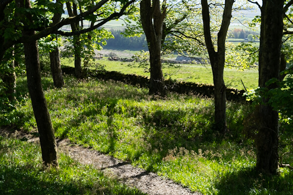 Hiking path at Hadrians Wall