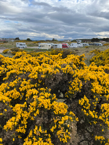 Motorhome Stay at Findhorn dunes