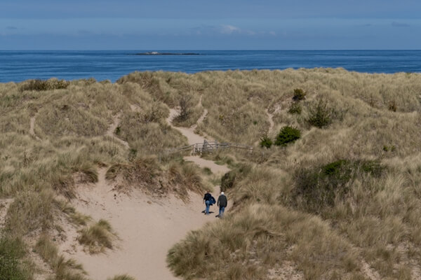 In the dunes at Bamburgh Castle