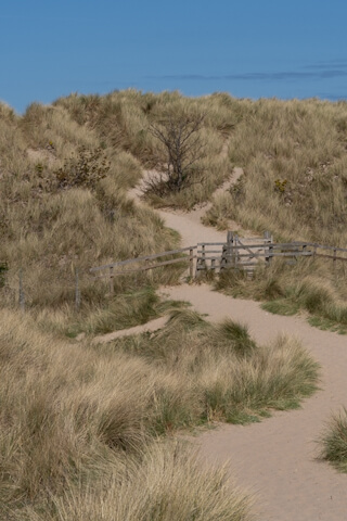 Dunes at the castle