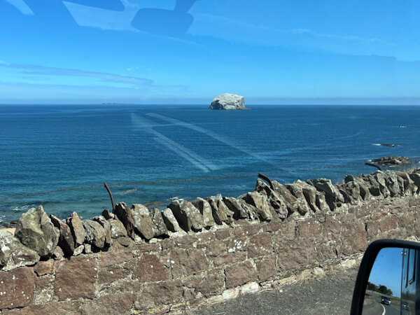 Birds nesting rock at the coast