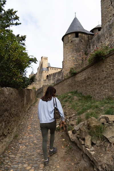 On a small path to the medieval city (Carcassonne)