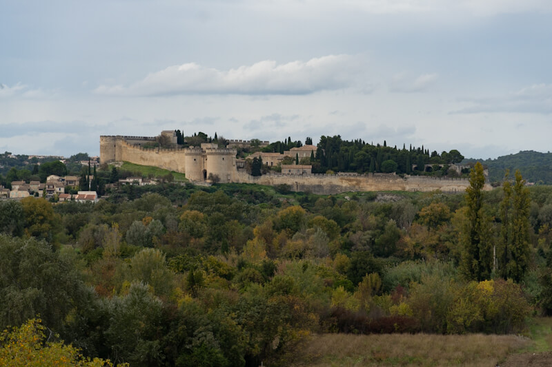 Fort Saint Andre on the other side of River Rhone (Avignon)