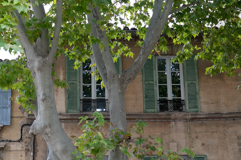 Details in the old town (Avignon)