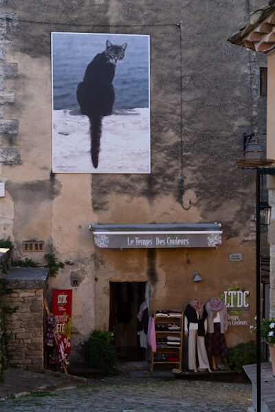 Boutique - and cat (Gordes)