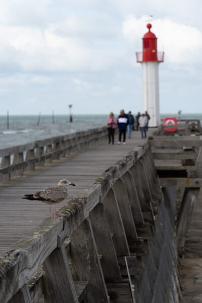 Light Signal at the entrance to trouville-sur-Mer harbour (Normandie)