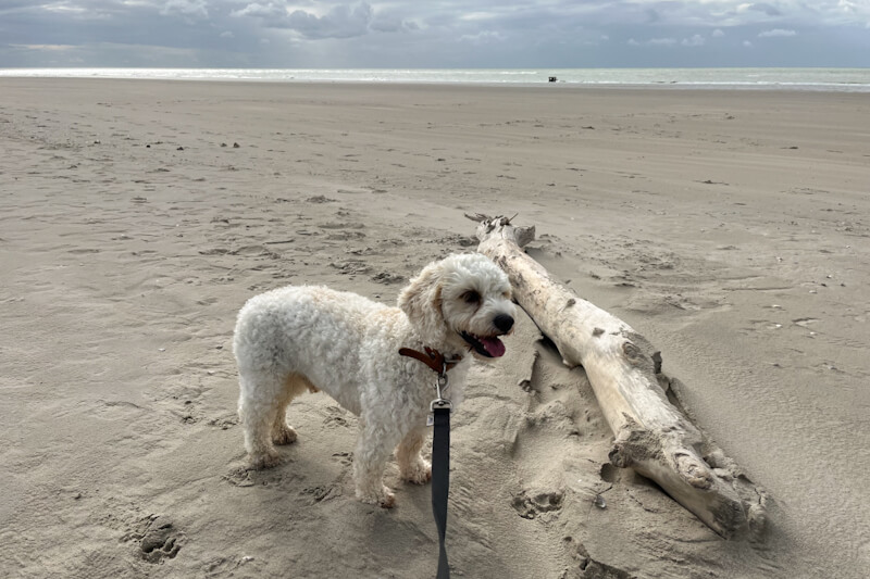One of many stunning beaches in Normandie