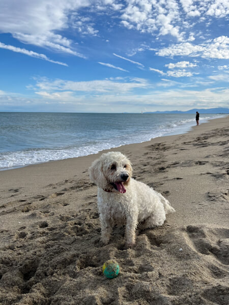 Lovely beaches in France